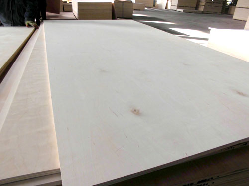 birch plywood
